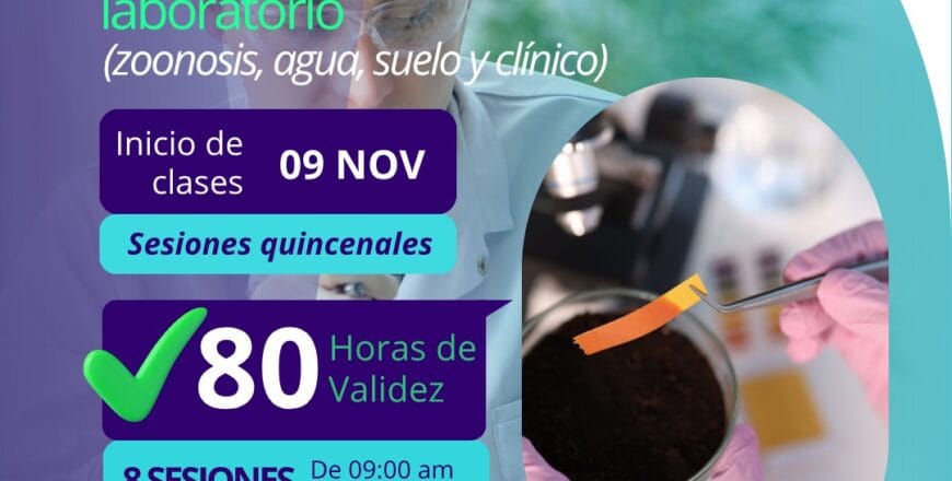 WhatsApp Image 2025-09-22 at 14.03.43.jpeg