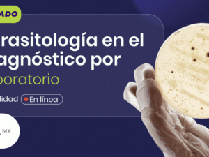 PORTADA AACA 01 (1) (2).png