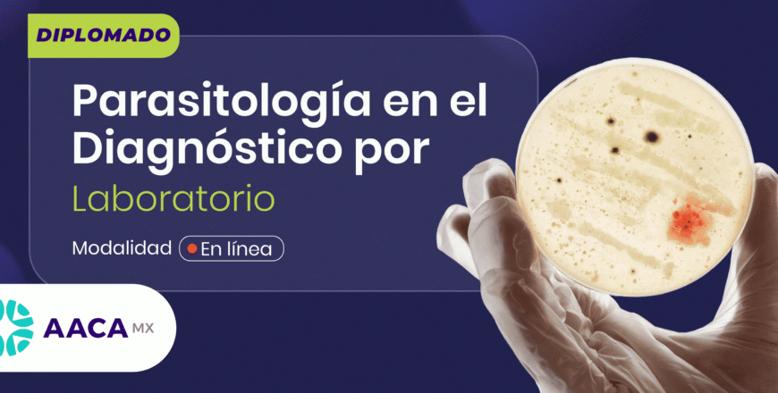 PORTADA AACA 01 (1) (2).png