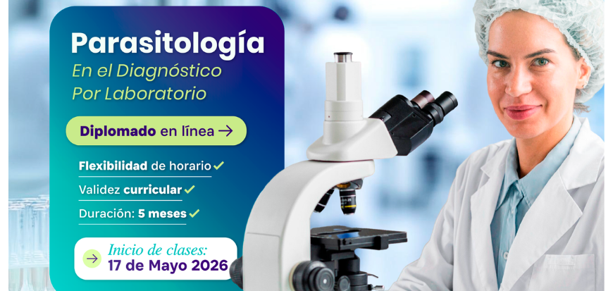 calendario pagos.png