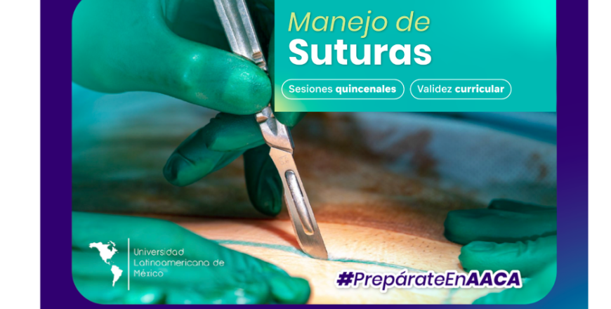 calendario sesiones.png