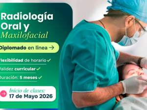 calendario sesiones.png